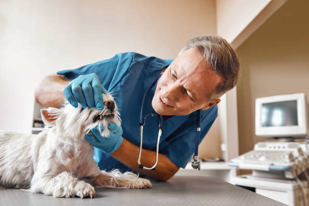Best Pediatric Emergency Dentist in Meadowlakes, TX